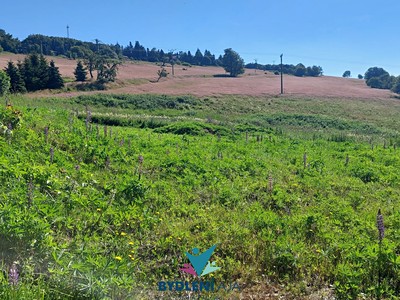 Osek - Dlouhá Louka, okres Teplice